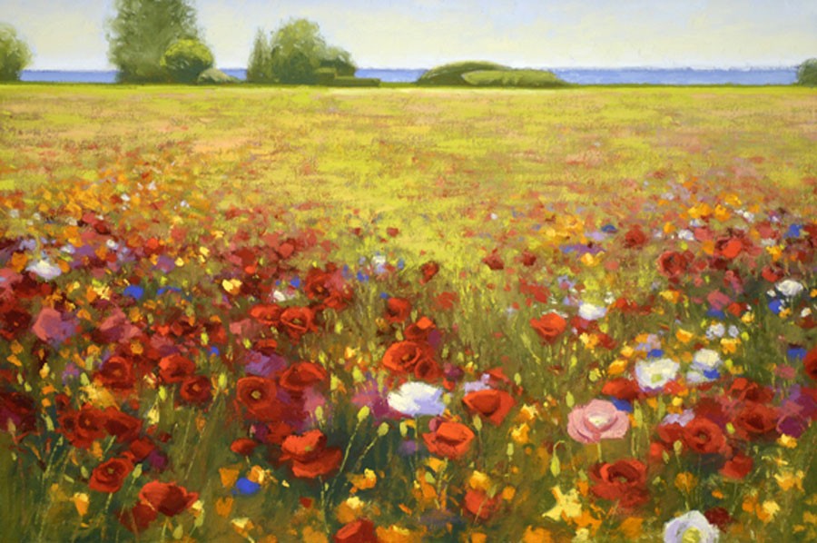 Shirley Novak Cote Sud